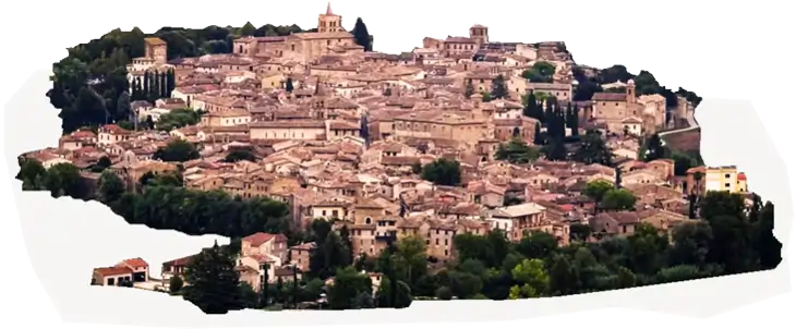 Bavagna
